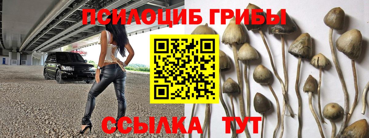 Псилоцибиновые грибы Psilocybine cubensis Нижнекамск