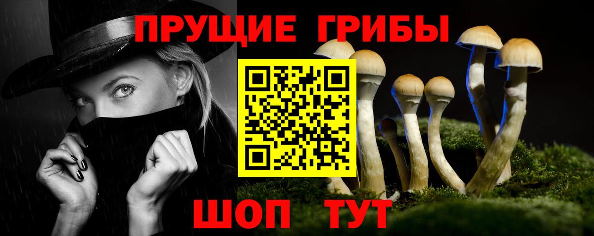 цена   Галлюциногенные грибы мицелий  Вход с VPN  Нижнекамск 